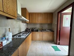 Central View (D19), Condominium #532343671